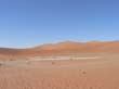 Sossusvlei (15)