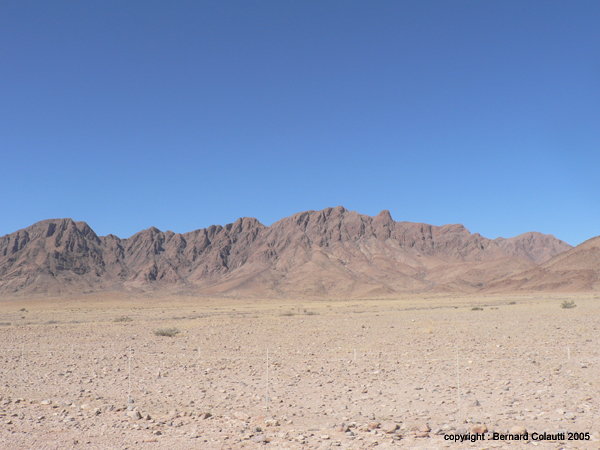 Namib65 - le desert (5)