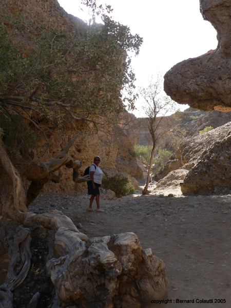 CANYON SESRIEM 11 (12)