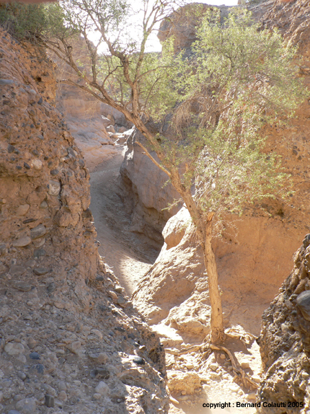 CANYON SESRIEM 11 (14)