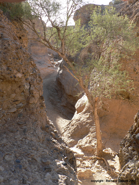 CANYON SESRIEM 11 (3)