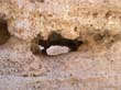 CANYON SESRIEM 11 (9)