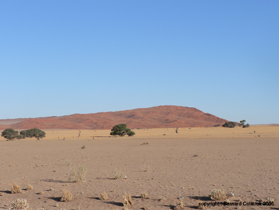 Sossusvlei (041) 