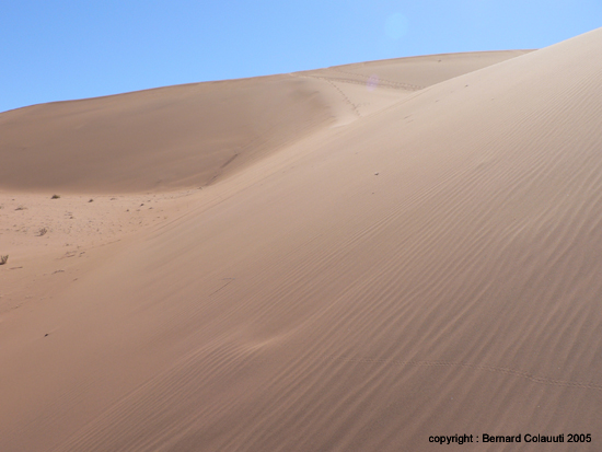 Sossusvlei (10)