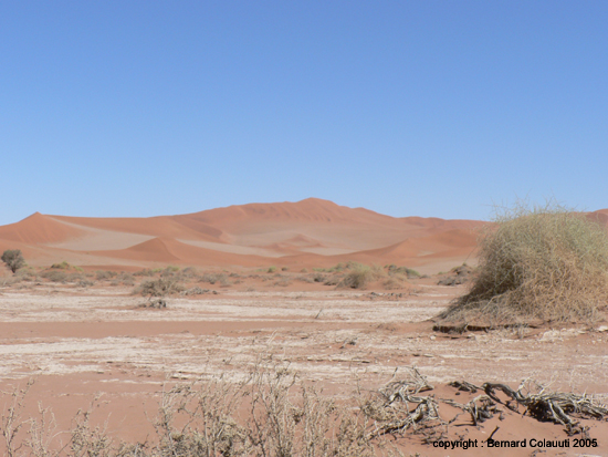 Sossusvlei (11)