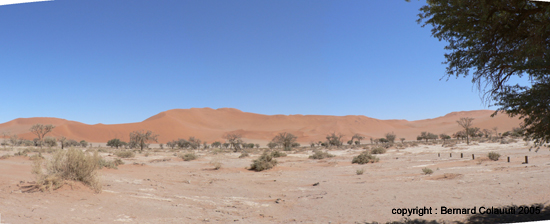 Sossusvlei (18)