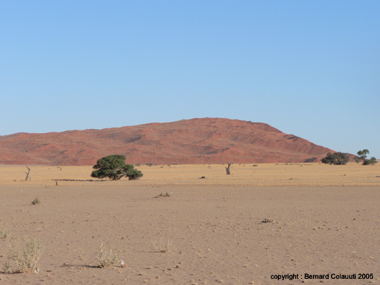 Sossusvlei (41)