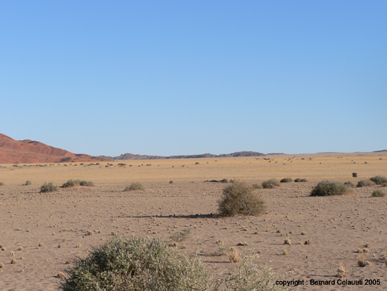 Sossusvlei (42)