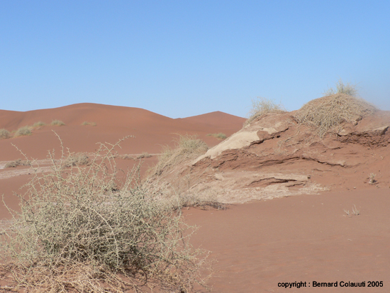 Sossusvlei (6)