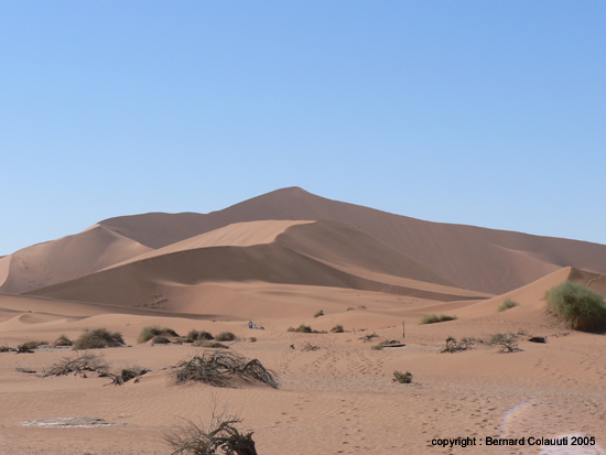 Sossusvlei (7)
