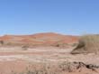 Sossusvlei (11)
