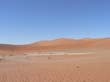 Sossusvlei (15)