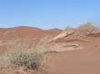 Sossusvlei (6)