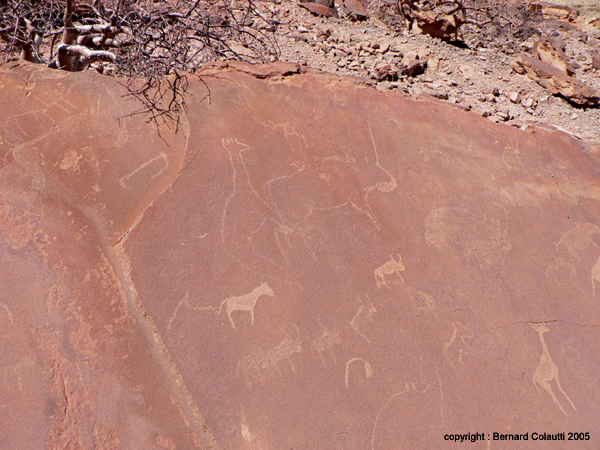 TWYFELFONTEIN (1)