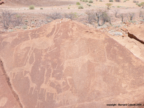 TWYFELFONTEIN (4)
