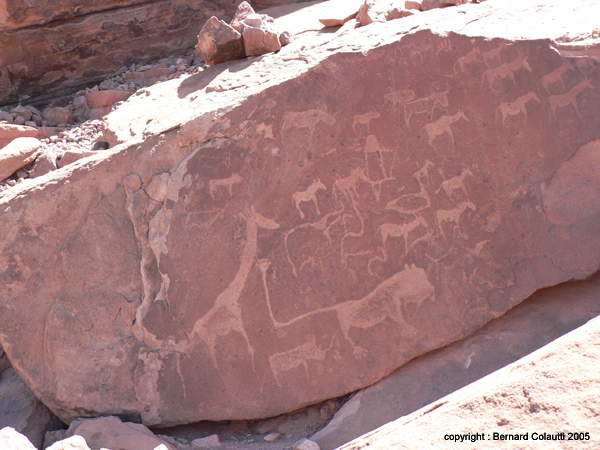 TWYFELFONTEIN (5)