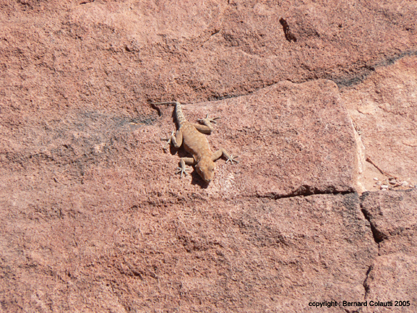TWYFELFONTEIN (6)