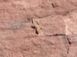 TWYFELFONTEIN (6)