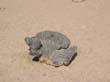 IMG1 (13)