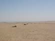 IMG1 (14)