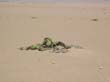 IMG1 (17)