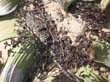 IMG1 (5)